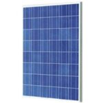 Import Polycrystalline Solar Panel-POLY156*156 190W-200W from chinese wholesale supplier and manufacturer
