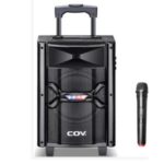 Import portable 8 inch trolley speaker 20W from chinese wholesale supplier and manufacturer