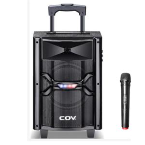 Import portable 8 inch trolley speaker 20W from chinese wholesale supplier and manufacturer