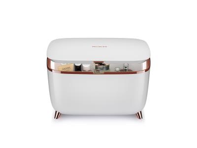 Import Portable personalized mini fridge 10L home cosmetic fridge Mini Refrigerator from chinese wholesale supplier and manufacturer