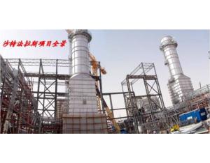 Import Power plant from chinese wholesale supplier and manufacturer