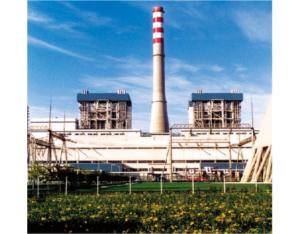 Import Project of Hebei Wangtan Power from chinese wholesale supplier and manufacturer