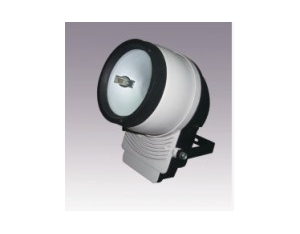 Import Projection Light from chinese wholesale supplier and manufacturer