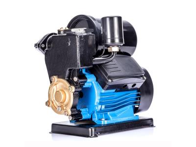 Import PS150B 0.5HP auto electric water pump from chinese wholesale supplier and manufacturer