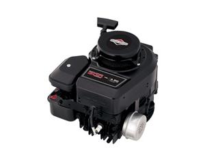 Import Push Mower Engines 300 Series from chinese wholesale supplier and manufacturer