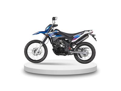 Import QH200GY-N New Published Qingqi Off Road Motorcycle Leading the trend of off-road from chinese wholesale supplier and manufacturer