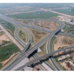 Import Qing Yin Expressway from chinese wholesale supplier and manufacturer