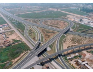 Import Qing Yin Expressway from chinese wholesale supplier and manufacturer