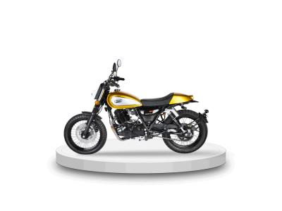 Import QM250-2X DIRT Track New Published Retro Motorcycle from chinese wholesale supplier and manufacturer