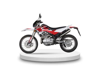 Import QM250GY-D Hot Sale Off Road Motorcycle Qingqi Brand from chinese wholesale supplier and manufacturer
