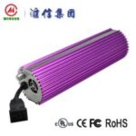 Import R series electronical ballast from chinese wholesale supplier and manufacturer