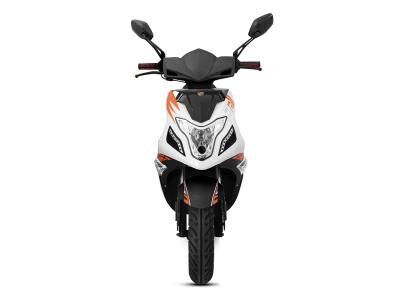 Import R8-Zhongneng Znen sporty scooter from chinese wholesale supplier and manufacturer