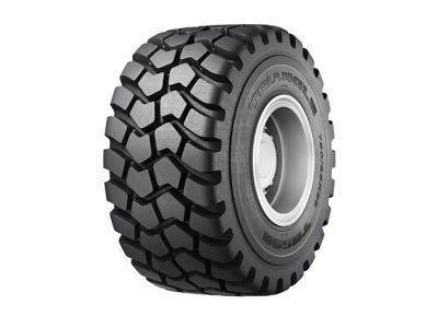 Import Radial OTR-TB598S from chinese wholesale supplier and manufacturer