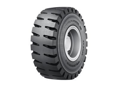 Import Radial OTR-TL559S+ from chinese wholesale supplier and manufacturer