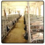 Import Radio & TV Broadcasting from chinese wholesale supplier and manufacturer