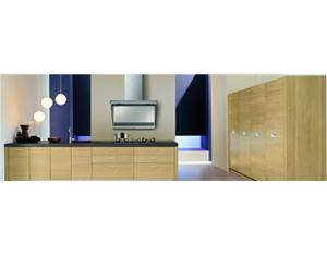 Import Range Hood from chinese wholesale supplier and manufacturer