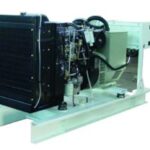 Import Ray walter power series diesel generating sets from chinese wholesale supplier and manufacturer