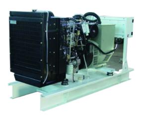 Import Ray walter power series diesel generating sets from chinese wholesale supplier and manufacturer