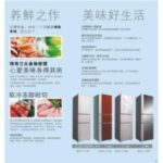 Import Refrigerator from chinese wholesale supplier and manufacturer