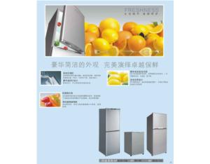 Import Refrigerator from chinese wholesale supplier and manufacturer