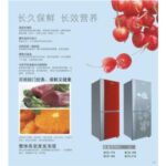 Import Refrigerator from chinese wholesale supplier and manufacturer