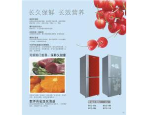 Import Refrigerator from chinese wholesale supplier and manufacturer