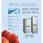 Import Refrigerator from chinese wholesale supplier and manufacturer