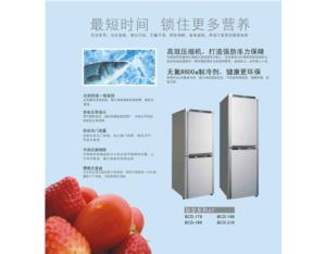 Import Refrigerator from chinese wholesale supplier and manufacturer