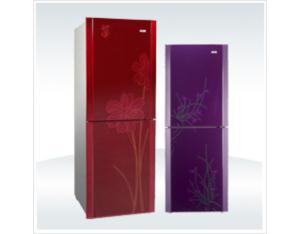Import Refrigerator from chinese wholesale supplier and manufacturer