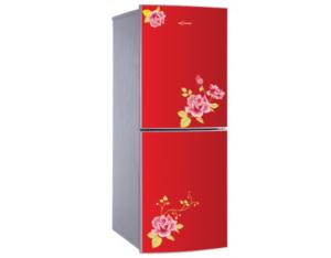 Import Refrigerator from chinese wholesale supplier and manufacturer