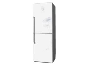 Import Refrigerator BCD-196AEG2A / 206AEG2A from chinese wholesale supplier and manufacturer