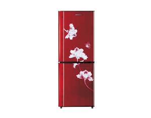 Import Refrigerator CF9 from chinese wholesale supplier and manufacturer