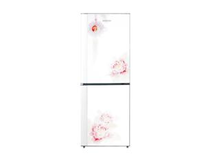 Import Refrigerator CFG5 from chinese wholesale supplier and manufacturer