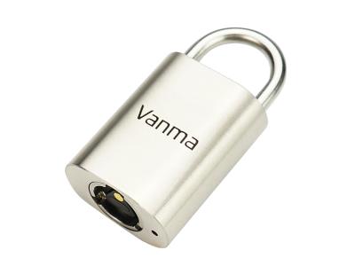 Import remote controlled gate lock from chinese wholesale supplier and manufacturer