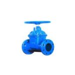 Import Resilient Seated Gate Valve from chinese wholesale supplier and manufacturer