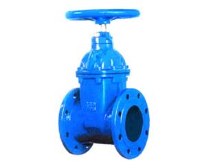 Import Resilient Seated Gate Valve from chinese wholesale supplier and manufacturer