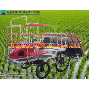 Import Ride-on Type Rice Transplanter 2ZG-630A from chinese wholesale supplier and manufacturer