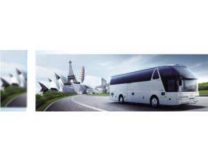 Import Road Coaches from chinese wholesale supplier and manufacturer