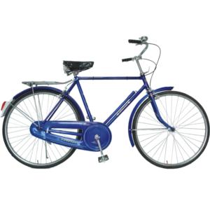 Import ROADSTER FOR LADY from chinese wholesale supplier and manufacturer