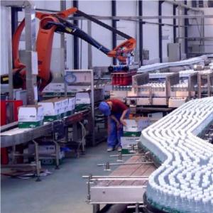 Import Robot: Corton loading Palletizing De-palletizing from chinese wholesale supplier and manufacturer