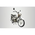 Import SAFARI AT from chinese wholesale supplier and manufacturer