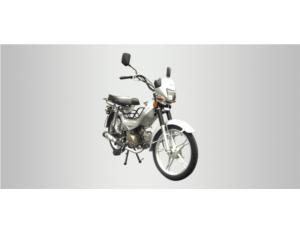 Import SAFARI AT from chinese wholesale supplier and manufacturer