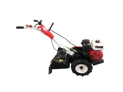 Import SC450 Back Rotary Tiller from chinese wholesale supplier and manufacturer
