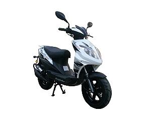 Import scooter from chinese wholesale supplier and manufacturer