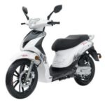 Import Scooter TREVIS 50 2T from chinese wholesale supplier and manufacturer