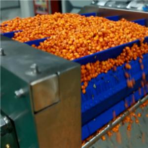 Import Seabuckthorn juice processing line from chinese wholesale supplier and manufacturer