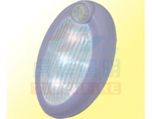 Import Sensor Light from chinese wholesale supplier and manufacturer