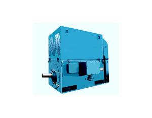 Import Series Y & YKK & YKS HV Three Phase Induction Motors ( Frame size H355~630 ) from chinese wholesale supplier and manufacturer