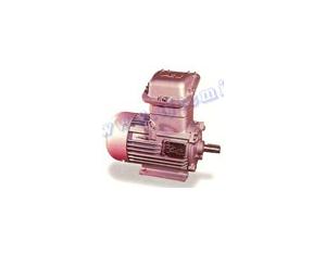 Import SERIES YB FLAMEPROOF THREE PHASE INDUCTION MOTORS from chinese wholesale supplier and manufacturer