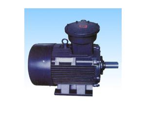 Import Series YB2(80-315) Three Phase AC Induction Flameproof Motors from chinese wholesale supplier and manufacturer
